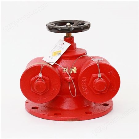 闽文消防器材 消防多功能水泵接合器 SQD100-1.6普通