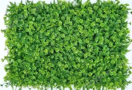 仿真植物墙多钱一平方米 植物墙 可按需定制