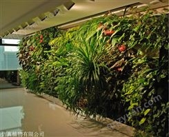 绿植墙制作 仿真植物墙批发 室内装饰用垂直绿化植物 上门测量尺寸