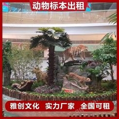 标本租赁公司 上海动物标本出租 雅创 品种多样 全国可租