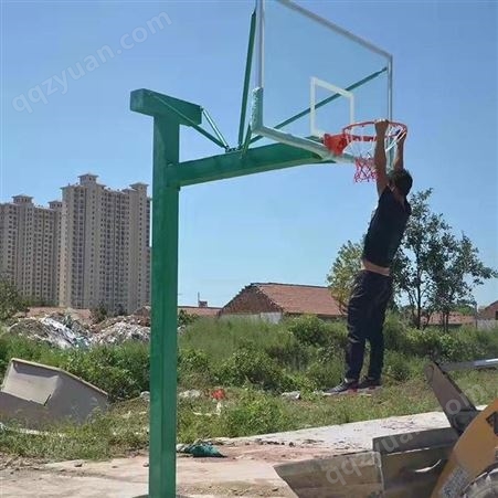 体之健体育 户外固定方管篮球架 标准成人可移动球架 玻璃钢篮板 支持定制