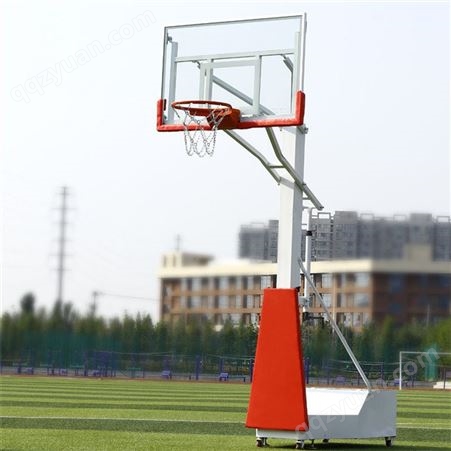 可移动儿童升降篮球架 青少年室外运动 佳羽体育
