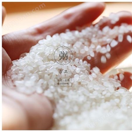 碎米-大中小碎米 抛光碎 食品酿酒饲料用碎米 黑龙江和粮农业-碎米批发-优质碎米-碎米价格