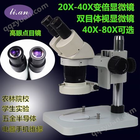 ST60大量批发ST60两档显微镜 10X20X 40X 80X放大镜带黑白板样品夹