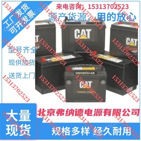9X-9720美国卡特CAT蓄电池9X-9720低维护电池12V140AH启动电池