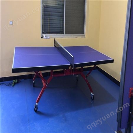 户外大彩虹乒乓球台 标准SMC树脂复合板台面 专业比赛训练用