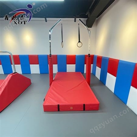 体适能训练器材 体操吊环保护垫 儿童吊环套装组合 使用寿命长