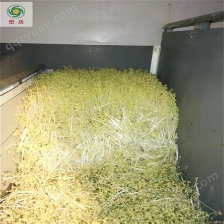 1000斤科发豆芽生产省时省力宏成芽苗菜种植厂