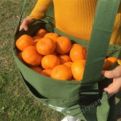 水果采果袋山楂采摘 袋怎么样好用吗