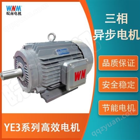 安徽皖南电机YE3系列三级能效YE3-80M2-4 0.75KW大量现货全国直发