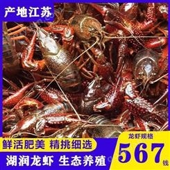 清水养殖特大虾鲜活水产567钱2斤装小龙虾（发货）