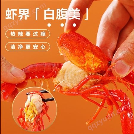 正大活力虾650g/盒麻辣口味小龙虾加热可食用半成品冷冻批发