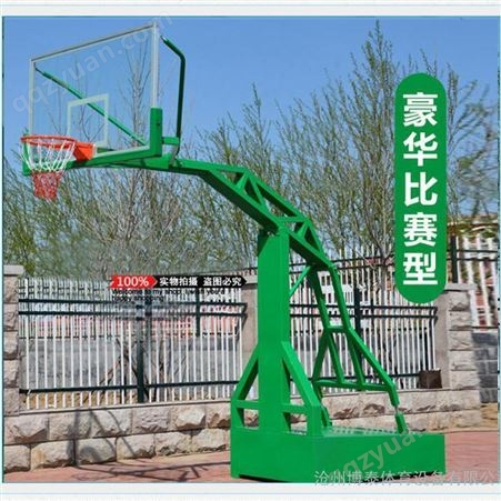 龙泰 篮球架 移动箱体固定式篮球架 当天发货