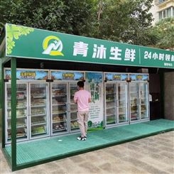 广州易购无人生鲜柜 智能生鲜柜批发价 生鲜自动售货机加盟
